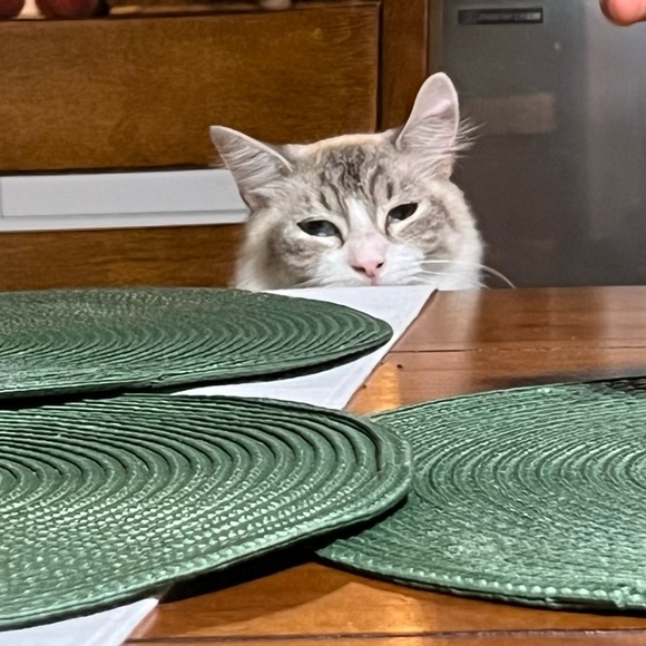 Meet your Posher, Eva - Picture 1 of 1